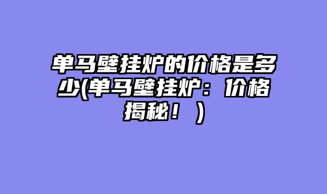 单马壁挂炉的价格是多少(单马壁挂炉：价格揭秘！）