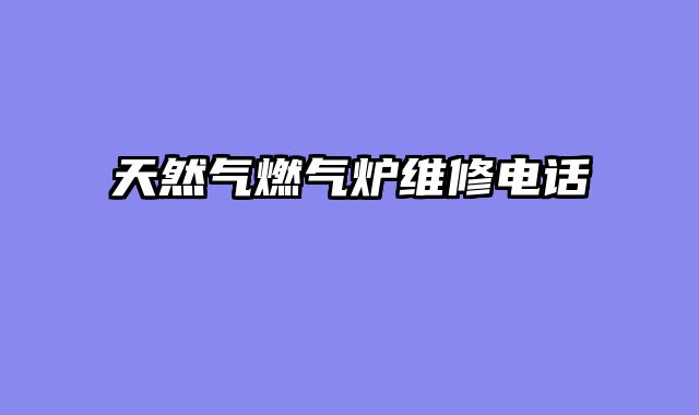 天然气燃气炉维修电话