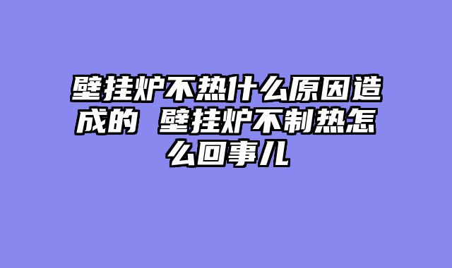 壁挂炉不热什么原因造成的 壁挂炉不制热怎么回事儿