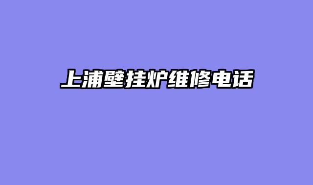 上浦壁挂炉维修电话