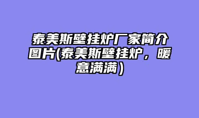 泰美斯壁挂炉厂家简介图片(泰美斯壁挂炉，暖意满满）