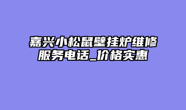 嘉兴小松鼠壁挂炉维修服务电话_价格实惠