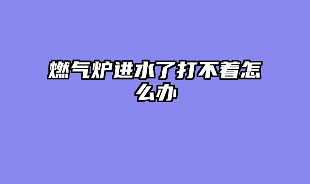 燃气炉进水了打不着怎么办