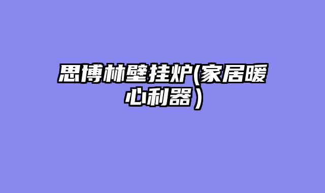 思博林壁挂炉(家居暖心利器）
