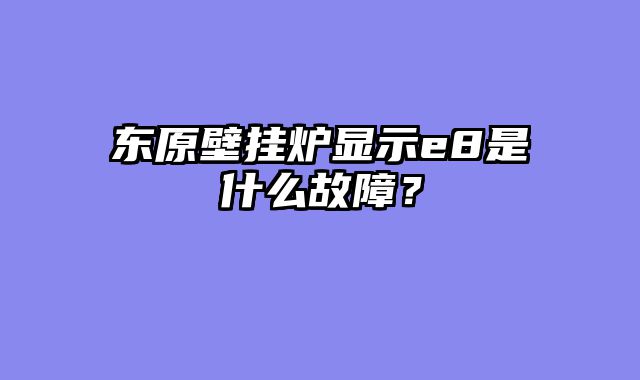 东原壁挂炉显示e8是什么故障？