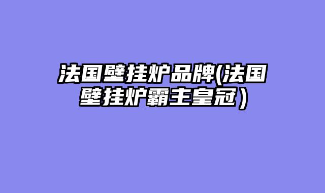 法国壁挂炉品牌(法国壁挂炉霸主皇冠）