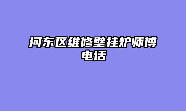 河东区维修壁挂炉师傅电话