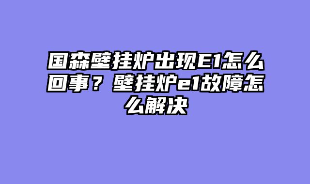 国森壁挂炉出现E1怎么回事？壁挂炉e1故障怎么解决