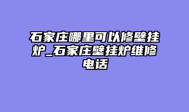 石家庄哪里可以修壁挂炉_石家庄壁挂炉维修电话