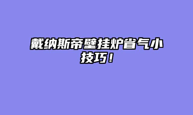 戴纳斯帝壁挂炉省气小技巧！