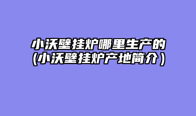 小沃壁挂炉哪里生产的(小沃壁挂炉产地简介）