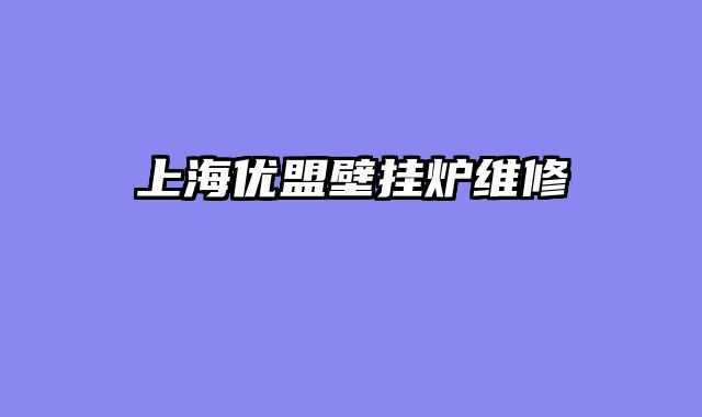 上海优盟壁挂炉维修