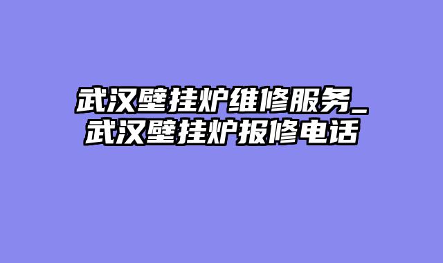 武汉壁挂炉维修服务_武汉壁挂炉报修电话