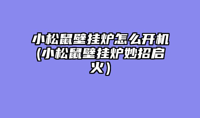 小松鼠壁挂炉怎么开机(小松鼠壁挂炉妙招启火）