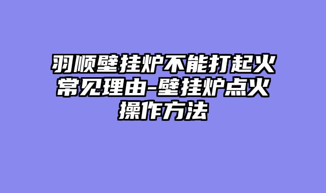 羽顺壁挂炉不能打起火常见理由-壁挂炉点火操作方法
