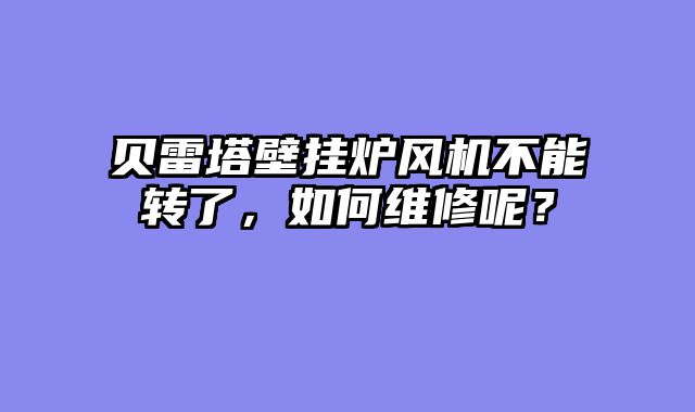 贝雷塔壁挂炉风机不能转了，如何维修呢？