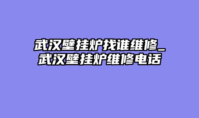 武汉壁挂炉找谁维修_武汉壁挂炉维修电话