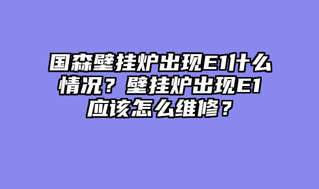 国森壁挂炉出现E1什么情况？壁挂炉出现E1应该怎么维修？