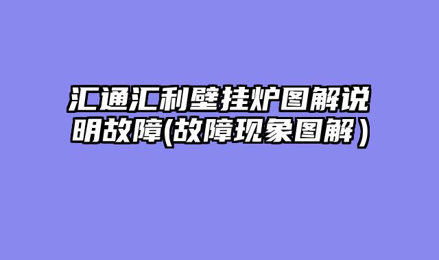 汇通汇利壁挂炉图解说明故障(故障现象图解）