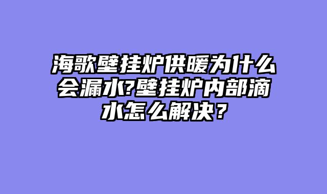 海歌壁挂炉供暖为什么会漏水?壁挂炉内部滴水怎么解决？