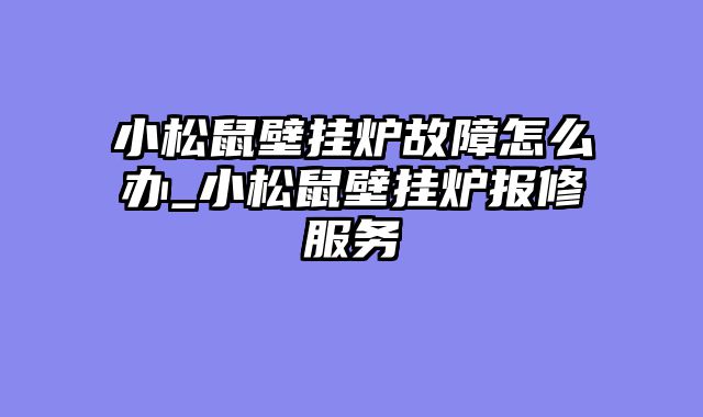 小松鼠壁挂炉故障怎么办_小松鼠壁挂炉报修服务