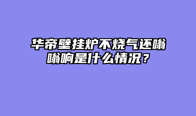 华帝壁挂炉不烧气还嗡嗡响是什么情况？