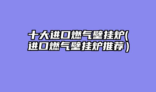 十大进口燃气壁挂炉(进口燃气壁挂炉推荐）