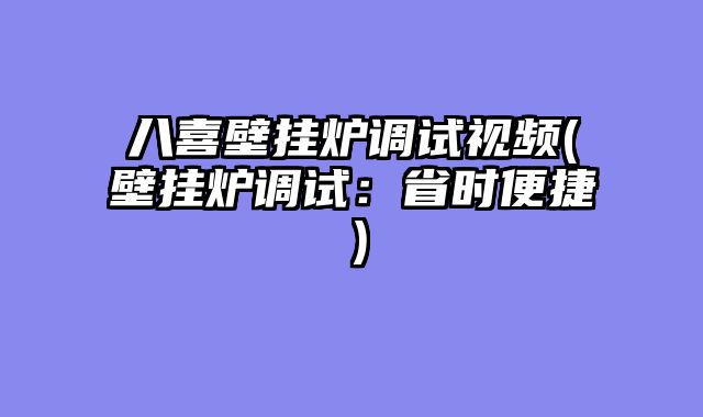 八喜壁挂炉调试视频(壁挂炉调试：省时便捷）