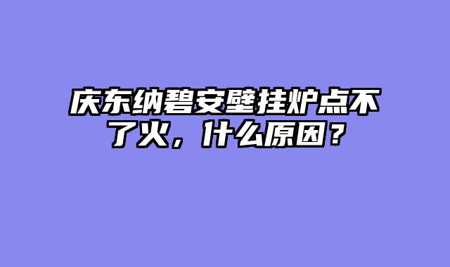 庆东纳碧安壁挂炉点不了火，什么原因？