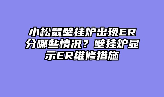 小松鼠壁挂炉出现ER分哪些情况？壁挂炉显示ER维修措施