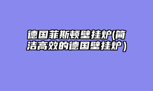 德国菲斯顿壁挂炉(简洁高效的德国壁挂炉）