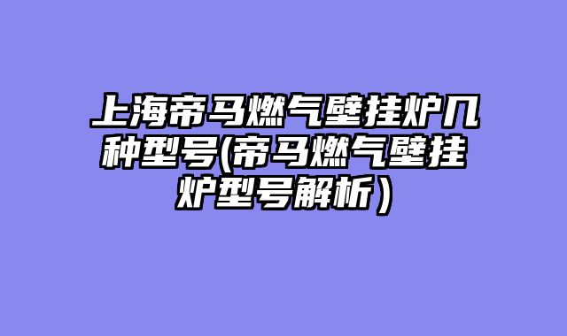 上海帝马燃气壁挂炉几种型号(帝马燃气壁挂炉型号解析）
