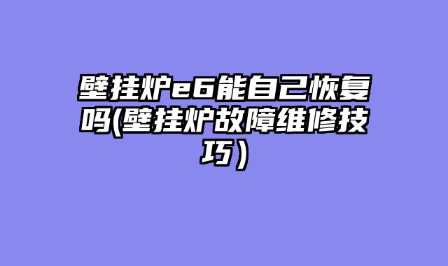 壁挂炉e6能自己恢复吗(壁挂炉故障维修技巧）