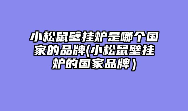 小松鼠壁挂炉是哪个国家的品牌(小松鼠壁挂炉的国家品牌）