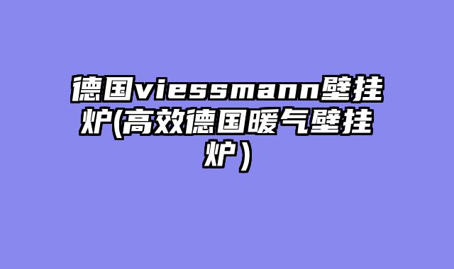 德国viessmann壁挂炉(高效德国暖气壁挂炉）