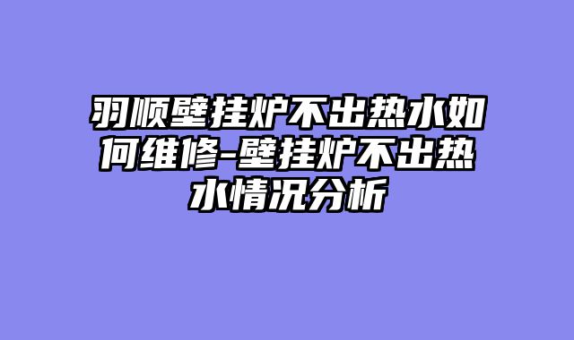 羽顺壁挂炉不出热水如何维修-壁挂炉不出热水情况分析