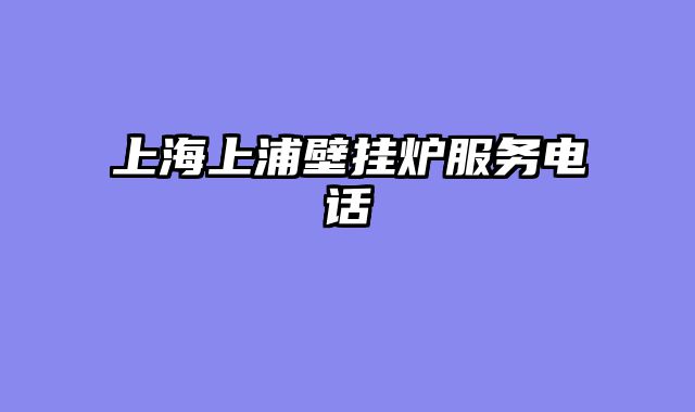 上海上浦壁挂炉服务电话