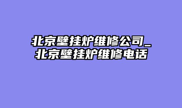 北京壁挂炉维修公司_北京壁挂炉维修电话