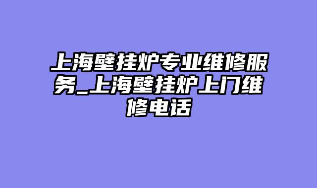 上海壁挂炉专业维修服务_上海壁挂炉上门维修电话