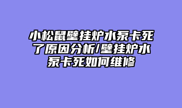 小松鼠壁挂炉水泵卡死了原因分析/壁挂炉水泵卡死如何维修