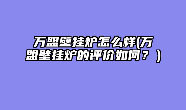 万盟壁挂炉怎么样(万盟壁挂炉的评价如何？）