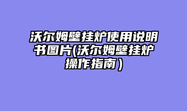 沃尔姆壁挂炉使用说明书图片(沃尔姆壁挂炉操作指南）