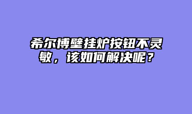 希尔博壁挂炉按钮不灵敏，该如何解决呢？