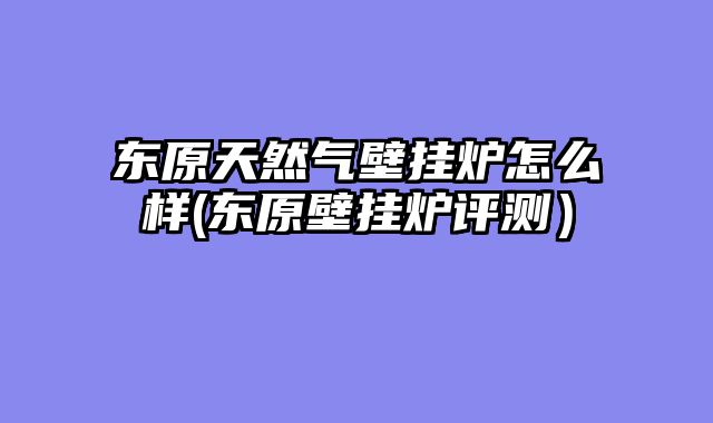 东原天然气壁挂炉怎么样(东原壁挂炉评测）
