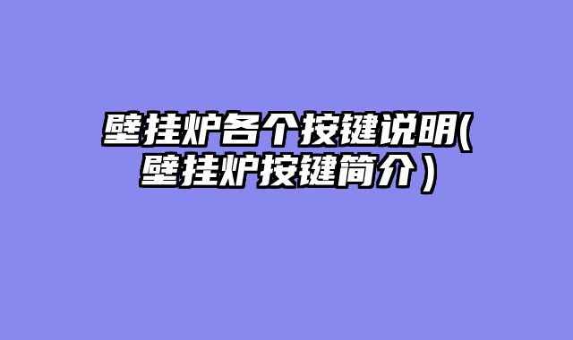 壁挂炉各个按键说明(壁挂炉按键简介）