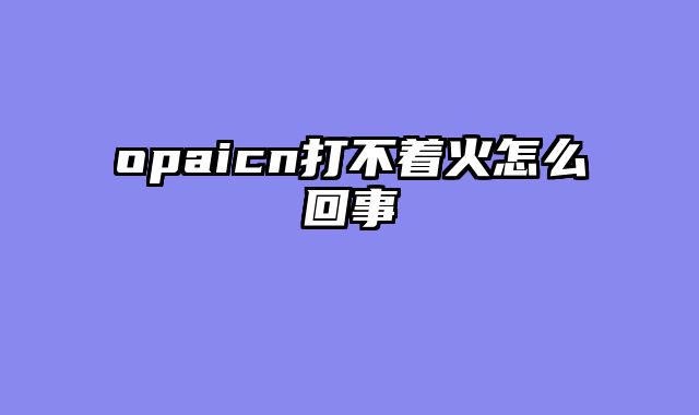 opaicn打不着火怎么回事