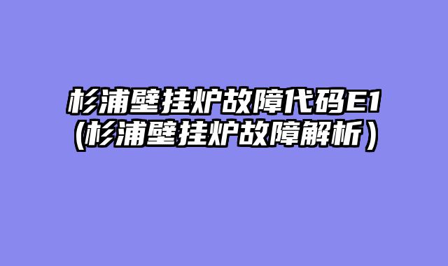杉浦壁挂炉故障代码E1(杉浦壁挂炉故障解析）