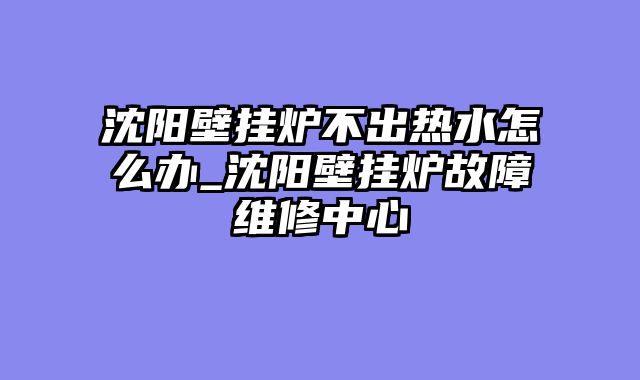 沈阳壁挂炉不出热水怎么办_沈阳壁挂炉故障维修中心