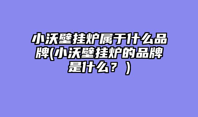 小沃壁挂炉属于什么品牌(小沃壁挂炉的品牌是什么？）