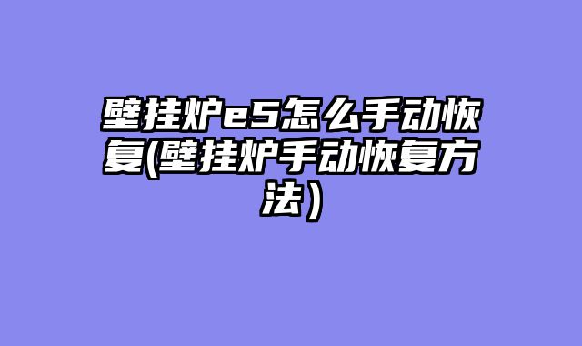 壁挂炉e5怎么手动恢复(壁挂炉手动恢复方法）